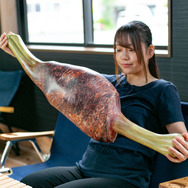 上手に焼けました！『モンハン』生肉、こんがり肉が実寸サイズの「多目的まくら」になって登場