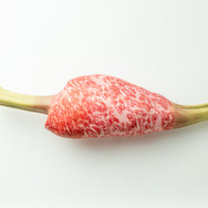 上手に焼けました！『モンハン』生肉、こんがり肉が実寸サイズの「多目的まくら」になって登場