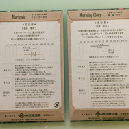 『IdentityV 第五人格』4周年記念オフラインイベント大阪会場レポート！豪華ゲスト出演、対抗戦に歓談、ミニゲームと盛りだくさん