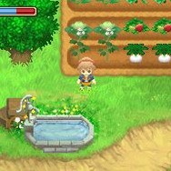 牧場物語 ふたごの村