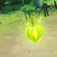 『原神』ついに「草元素」本格参戦!スメールプレビュー動画でその一端が明らかに