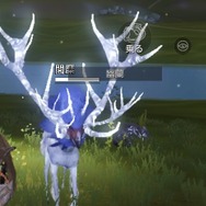 武器にペットにキャラクリ、全てが思うまま！広大な世界を駆け巡る新作MMORPG『神獣伝説～エボルション・ディバウア～』プレイレポ