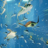 暑い夏にうってつけ!ひんやりさわやかな“水”の表現を堪能できる名作ゲーム3選