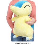 ホウエン御三家 等身大ぬいぐるみ ポケモンレジェンズ アルセウス』御三家の”等身大ぬいぐるみ”が
