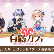 【読プレあり】『白猫プロジェクト NEW WORLD'S』8周年記念生放送開催レポートをお届け!