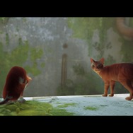 猫になれるADV『Stray』と「PS5」の出会いが人類に“爪とぎ”を与えた！ アダプティブトリガーによる「爪とぎの快感」を体験