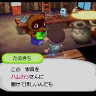 「ニンテンドーWi-Fi」機器とセットで買われることも多かったニンテンドーDS向けタイトル、『おいでよ どうぶつの森』。