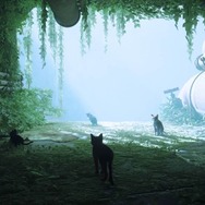 猫ゲー『Stray』は、どこまで「猫の魅力」に溢れているのか？ 猫飼いも納得の豊富なアクション＆猫あるあるを見よ！