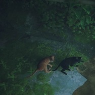 猫ゲー『Stray』は、どこまで「猫の魅力」に溢れているのか？ 猫飼いも納得の豊富なアクション＆猫あるあるを見よ！