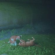 猫ゲー『Stray』は、どこまで「猫の魅力」に溢れているのか？ 猫飼いも納得の豊富なアクション＆猫あるあるを見よ！