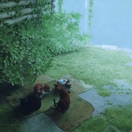 猫ゲー『Stray』は、どこまで「猫の魅力」に溢れているのか？ 猫飼いも納得の豊富なアクション＆猫あるあるを見よ！