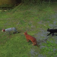 猫ゲー『Stray』は、どこまで「猫の魅力」に溢れているのか？ 猫飼いも納得の豊富なアクション＆猫あるあるを見よ！