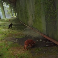 猫ゲー『Stray』は、どこまで「猫の魅力」に溢れているのか？ 猫飼いも納得の豊富なアクション＆猫あるあるを見よ！