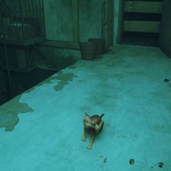 猫ゲー『Stray』は、どこまで「猫の魅力」に溢れているのか？ 猫飼いも納得の豊富なアクション＆猫あるあるを見よ！