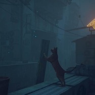 猫ゲー『Stray』は、どこまで「猫の魅力」に溢れているのか？ 猫飼いも納得の豊富なアクション＆猫あるあるを見よ！