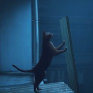 猫ゲー『Stray』は、どこまで「猫の魅力」に溢れているのか？ 猫飼いも納得の豊富なアクション＆猫あるあるを見よ！