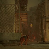猫ゲー『Stray』は、どこまで「猫の魅力」に溢れているのか？ 猫飼いも納得の豊富なアクション＆猫あるあるを見よ！