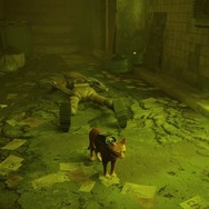 猫ゲー『Stray』は、どこまで「猫の魅力」に溢れているのか？ 猫飼いも納得の豊富なアクション＆猫あるあるを見よ！