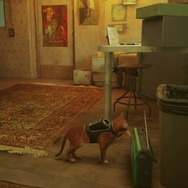 猫ゲー『Stray』は、どこまで「猫の魅力」に溢れているのか？ 猫飼いも納得の豊富なアクション＆猫あるあるを見よ！