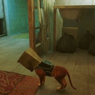 猫ゲー『Stray』は、どこまで「猫の魅力」に溢れているのか？ 猫飼いも納得の豊富なアクション＆猫あるあるを見よ！