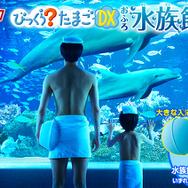 いつものお風呂が水族館に!“海のなかま”が飛び出す入浴剤「ドラマチックお風呂シリーズ」に新弾が登場