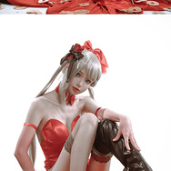 A-545（スキン：醉茗咲）『ドールズフロントライン』／夜光