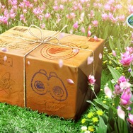 8月イベントは「むしタイプ」に注目！10日から始まるサプライズも楽しみに【ポケモンGO 秋田局】