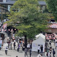ぶいすぽっ!×神田明神納涼祭り現地レポートーメンバー/運営とファンの想いが一つとなった3日間