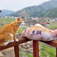 釣った魚がリアルなクッションに!魚拓のような「ぎょたクッション」が本物そっくりでヤバい