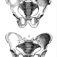【特集】今更だけど語りたい！新たなブリジットの「かわいい&カッコいいを造る技術」を徹底解剖