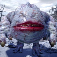 Monster Hunter（@monsterhunter）より引用。