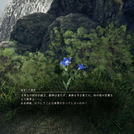 体験版で賛否両論の『ヴァルキリーエリュシオン』は買いなの? 製品版で快適に遊べるの?─体験版の先に待つ“プレイ感の一変”を伝えたい!