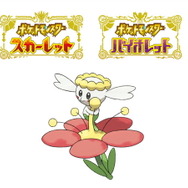 ポケモンセンターの「誕生日お祝いサービス」がリニューアル