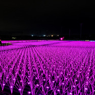 「東京メガイルミ2022-2023」点灯式／撮影：乃木章