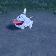 『ポケモン スカーレット・バイオレット』新ポケモンの正体は「ボチ」と判明！人懐っこく寂しがり屋な“おばけいぬポケモン”