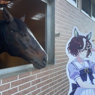 “破壊神”が奇跡の邂逅！？『ウマ娘』とモデル馬のタニノギムレットが牧場で鉢合わせ