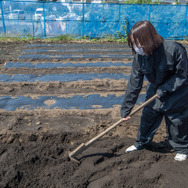 実際の農業を『ハーヴェステラ』で役立てろ！？編集部がフィジカルで伝える農作業の攻略法【生活編】