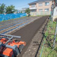 実際の農業を『ハーヴェステラ』で役立てろ！？編集部がフィジカルで伝える農作業の攻略法【生活編】