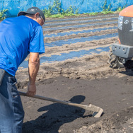 実際の農業を『ハーヴェステラ』で役立てろ！？編集部がフィジカルで伝える農作業の攻略法【生活編】