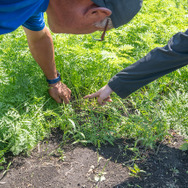 実際の農業を『ハーヴェステラ』で役立てろ！？編集部がフィジカルで伝える農作業の攻略法【生活編】