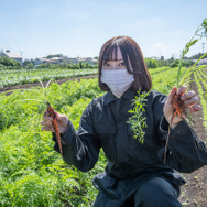 実際の農業を『ハーヴェステラ』で役立てろ！？編集部がフィジカルで伝える農作業の攻略法【生活編】