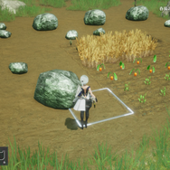 実際の農業を『ハーヴェステラ』で役立てろ！？編集部がフィジカルで伝える農作業の攻略法【生活編】