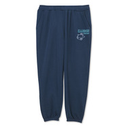 「しまむら」×『ポケモン』コラボ、11月9日から予約受付開始！「ポッチャマ」や「ミミッキュ」のクッションがたまらなく可愛い