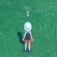 ルビサファの思い出が蘇る…『ポケモンSV』序盤の草むらでトレーナーたちが童心に帰った理由