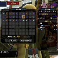 『モンハン:サンブレイク』「錬金術・極光」では護石に“スキル”を確定付与できるように!さっそく20連(60個)回してみた