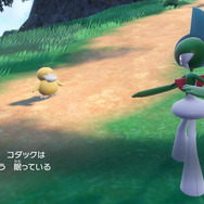 『ポケモン スカーレット・バイオレット』最新アプデで「ねむり状態」に修正が―ようやく“目を閉じて”眠れるポケモンたち