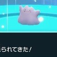 『ポケモン スカーレット・バイオレット』ニュースランキング―テラレイドバトルに注目集まる！続々現れるレアポケモンを見逃すな