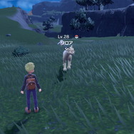 『ポケモンSV』入手が難しいポケモンを見つけるコツ！「ミカルゲ」らレアポケの発見方法を一挙紹介