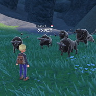 『ポケモンSV』入手が難しいポケモンを見つけるコツ！「ミカルゲ」らレアポケの発見方法を一挙紹介