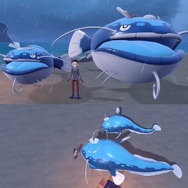 『ポケモンSV』ニュースランキング―1週間連続「あいことば」キャンペーンや、ついに明言された“あの謎の相性問題”が話題！